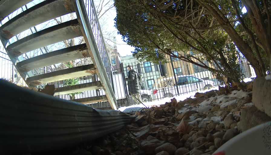 Reolink Camera Two_01_Reolink Home Hub One_20250115110204.jpg